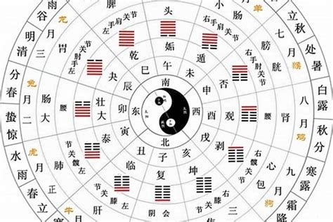 月份 五行|12月份五行属什么